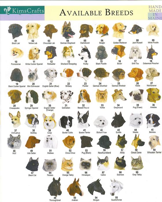 קטלוג כלבים » breeds